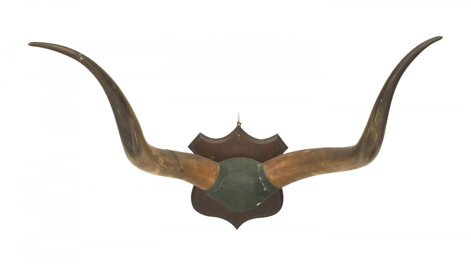 Rustic long horn wall plaque