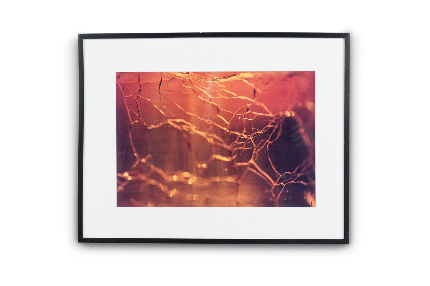 Color abstract photograph