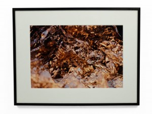 Color photograph of silver foil