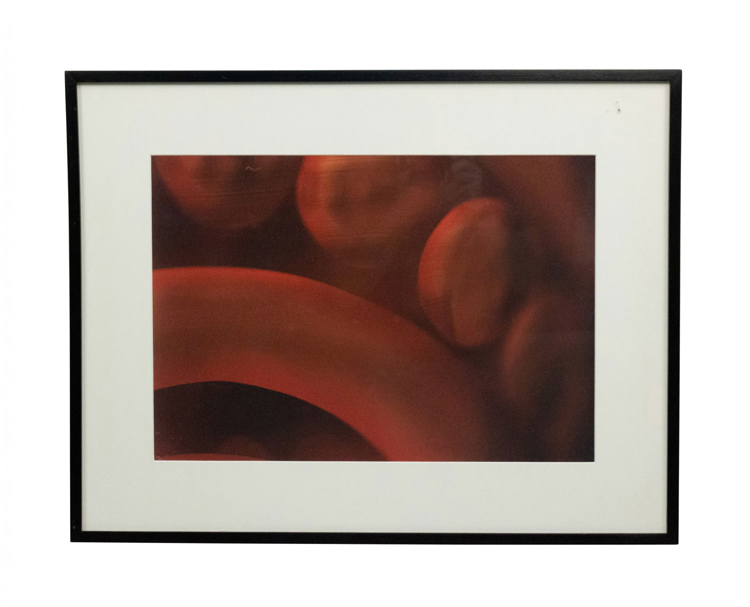 Detail color photograph of red abstract shapes