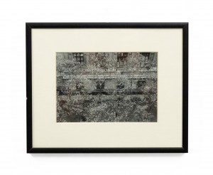 Black and white photograph of streetscape with flowering tress