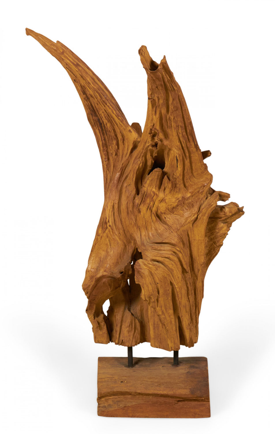 Modern Asian Teak tree Root Sculpture