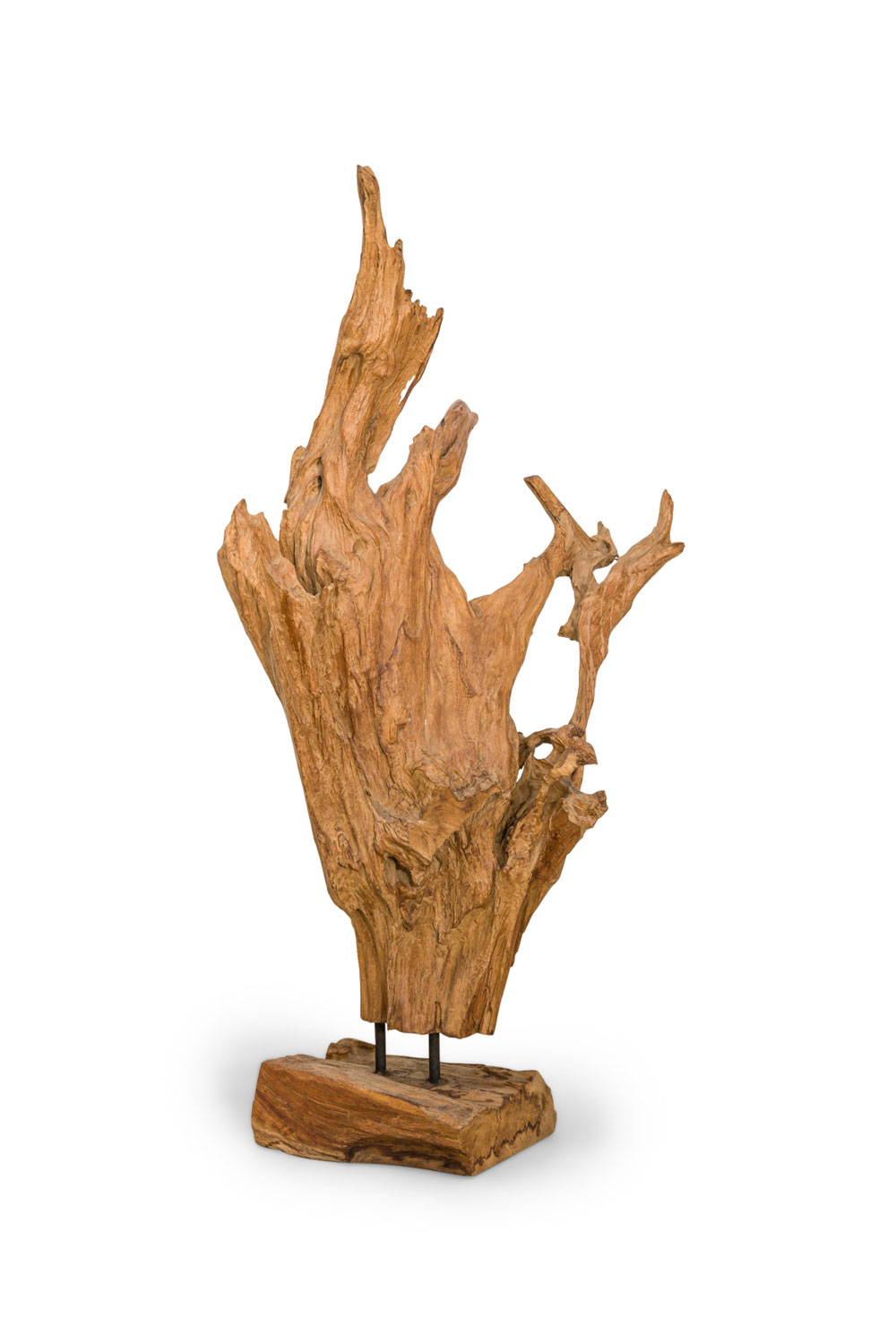 American mid century wild asian teak tree root sculpture