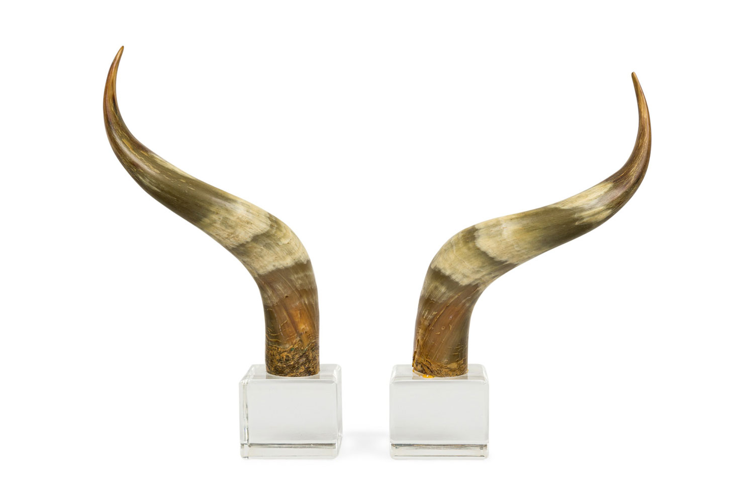 American mid century steer horn bookends 
