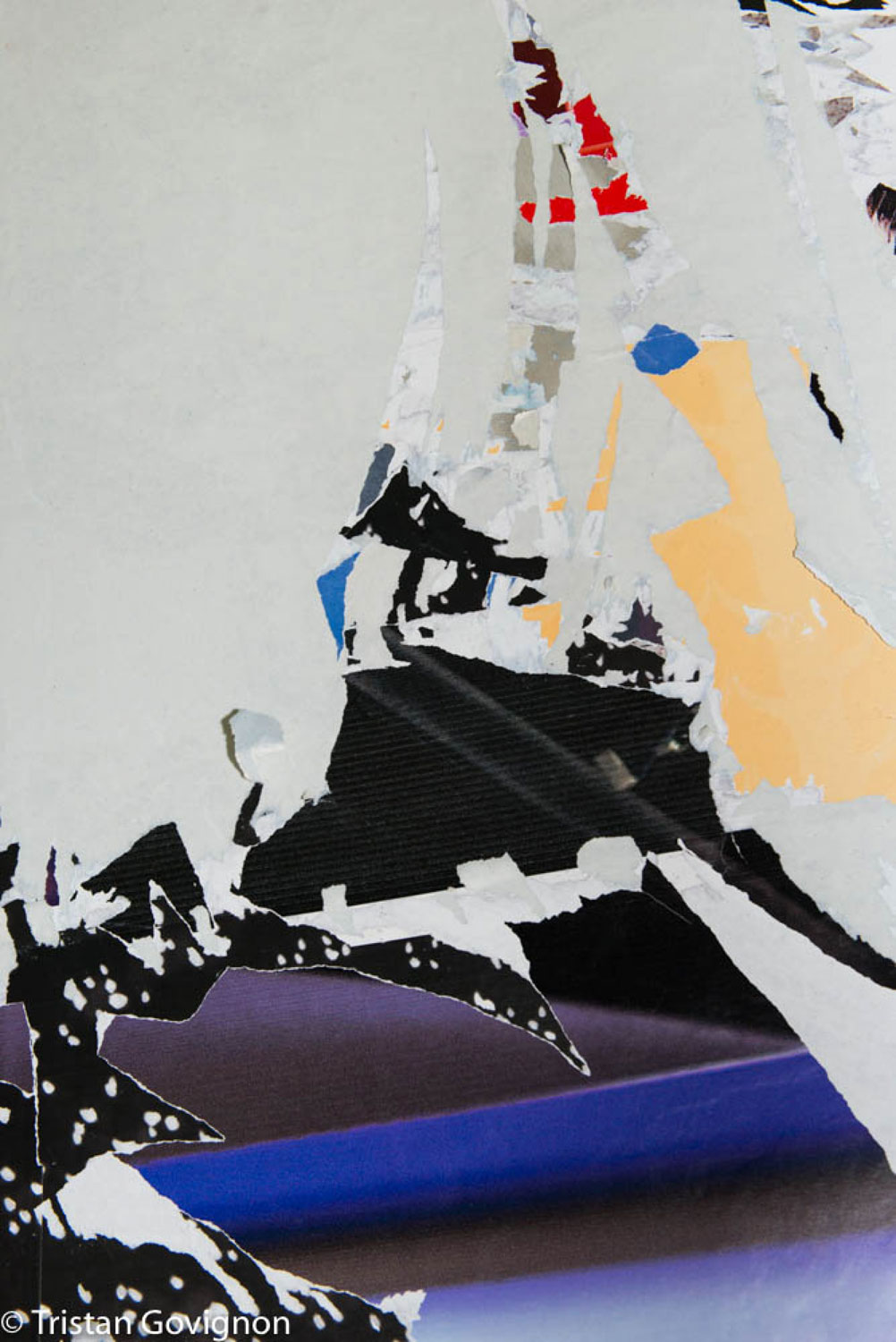 Govignon violet archival pigment print 1