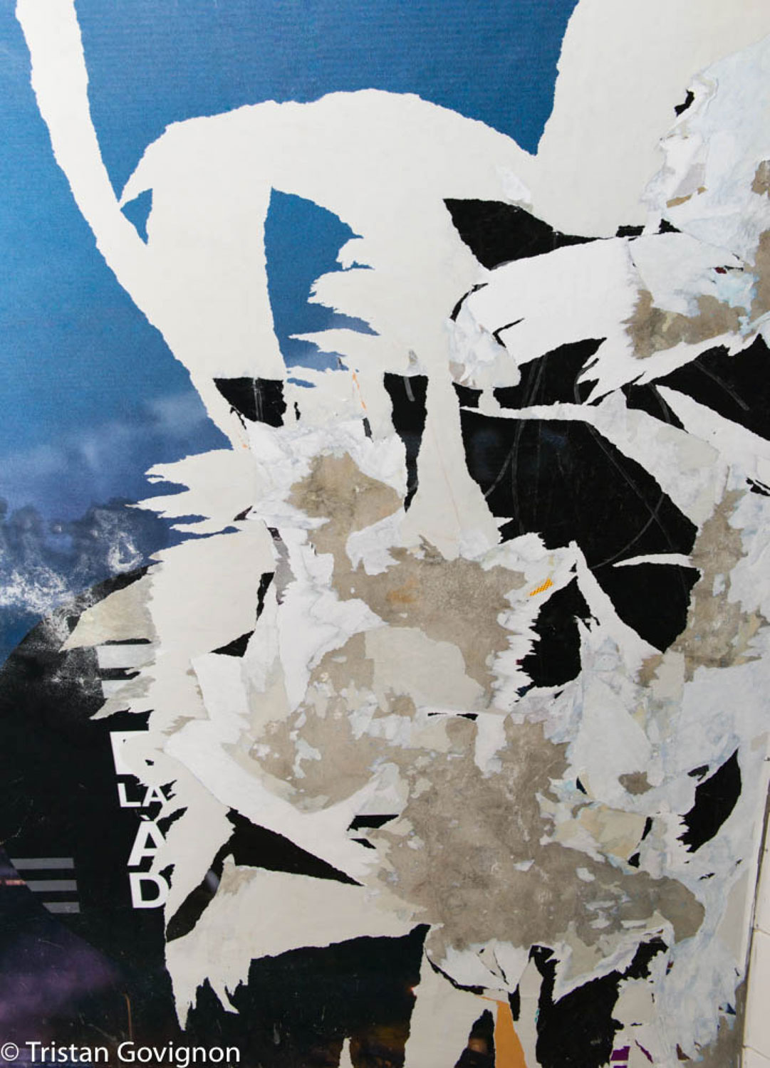 Paintings art abstract contemporary post war design american photograph gov018