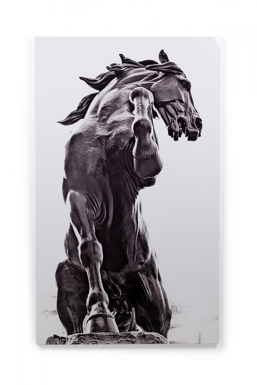 Govignon black horse sublimation print