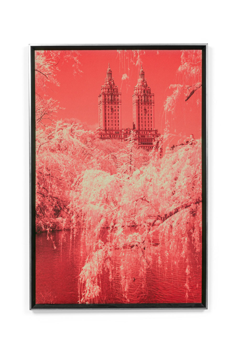 Tristan govignon central park infrared photograph on framed fabric