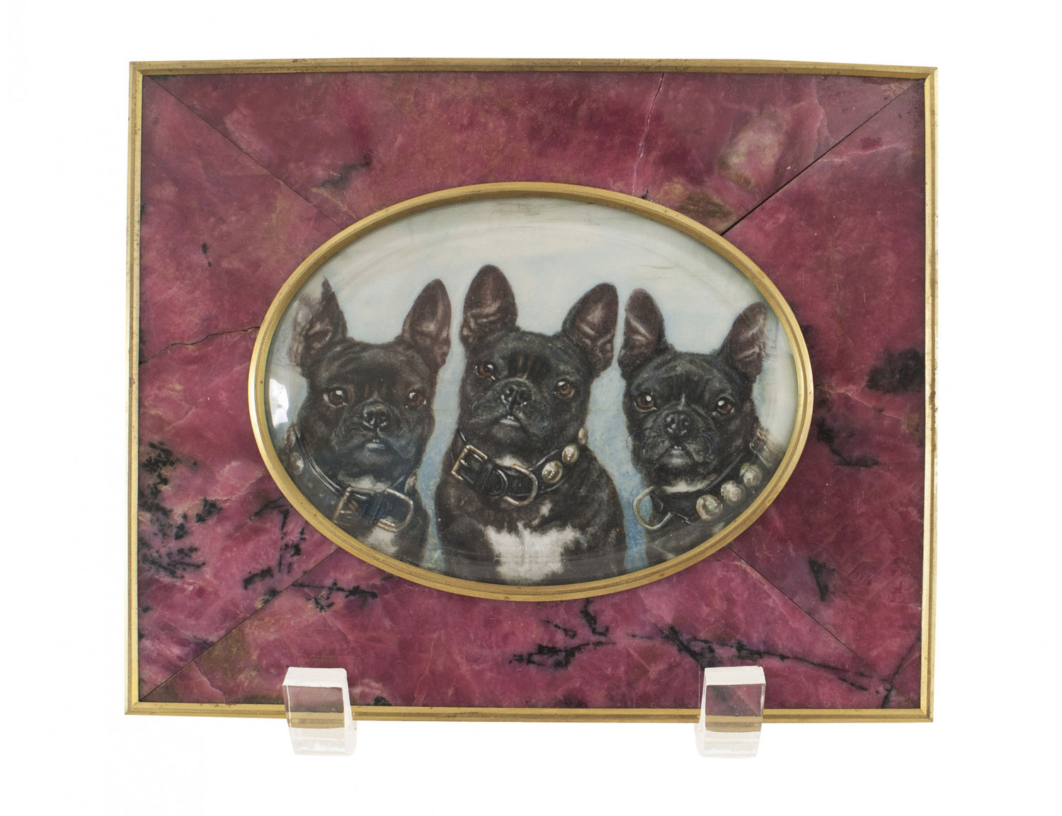 Russian bull dog watercolor painting