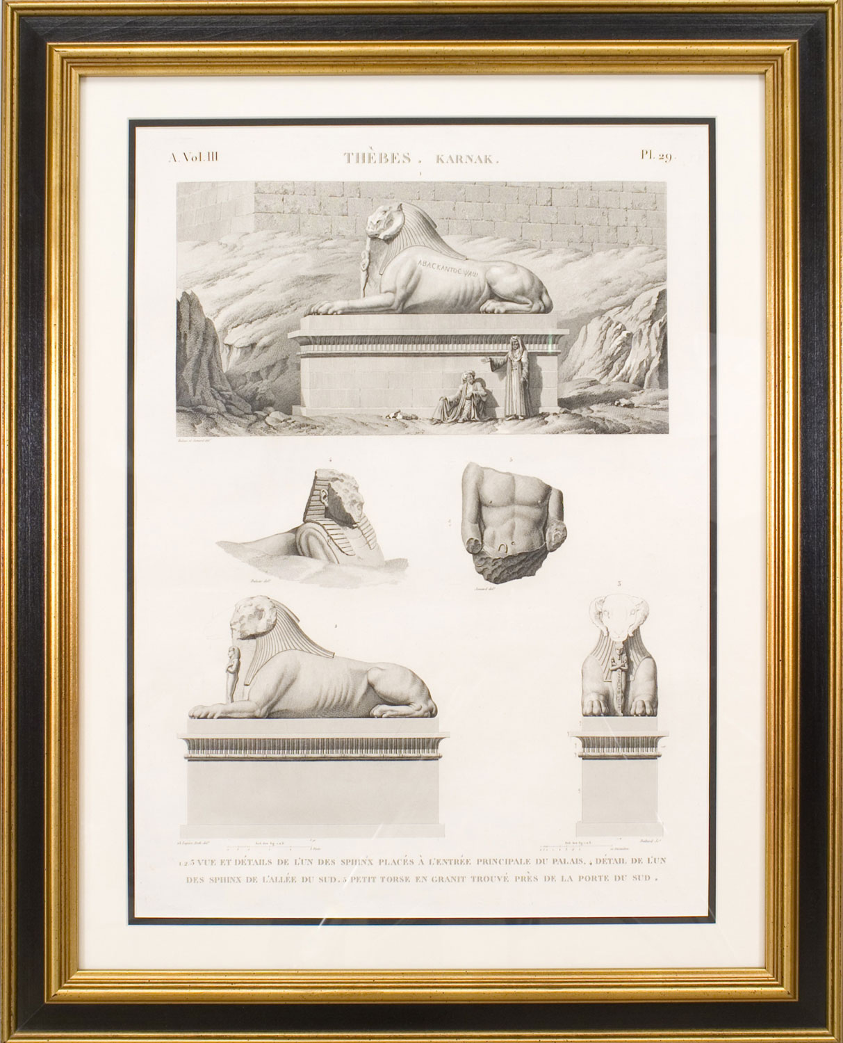 Theves karach egyptian spinx print