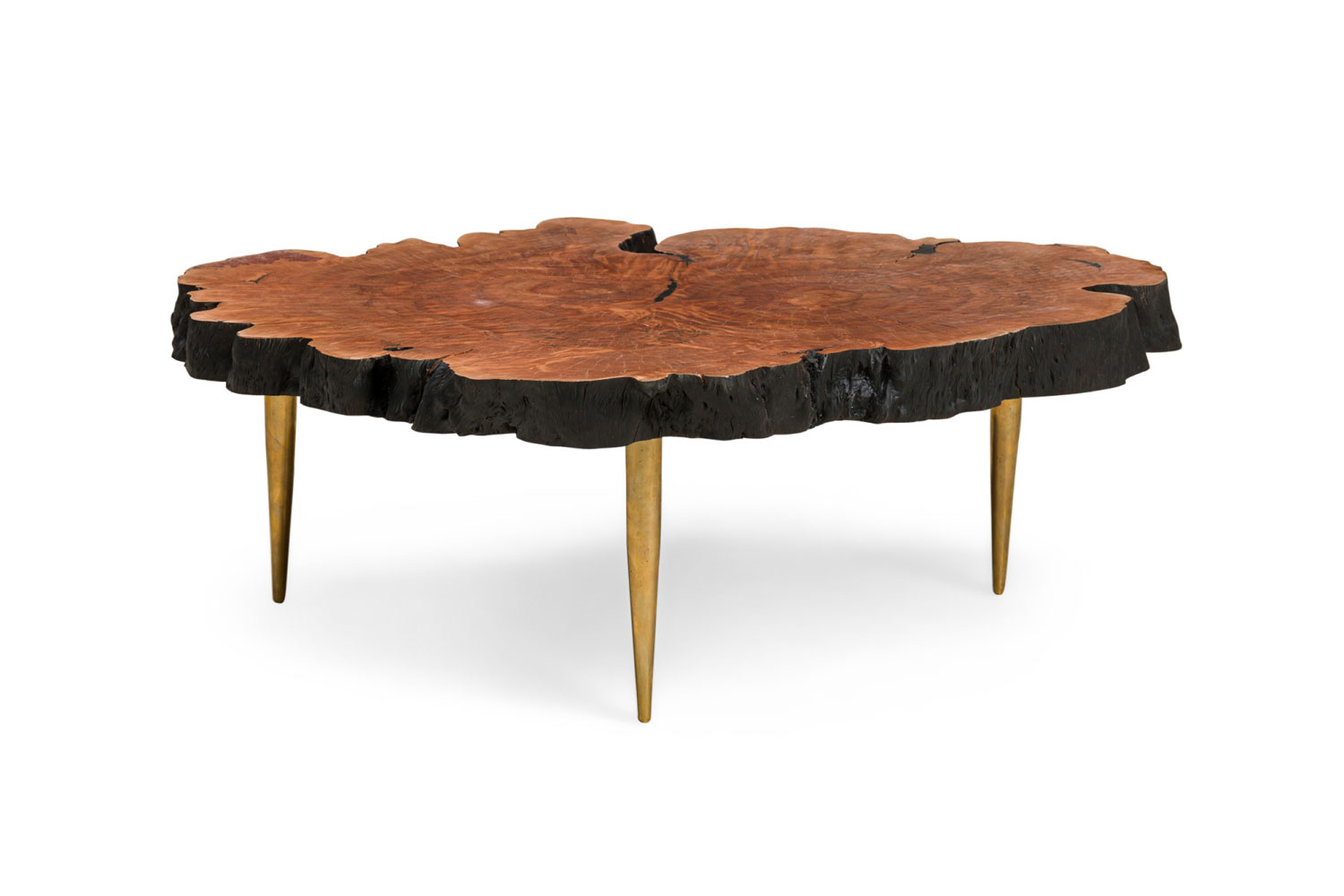 Contemporary modern live edge petrified wood and brass coffee table
