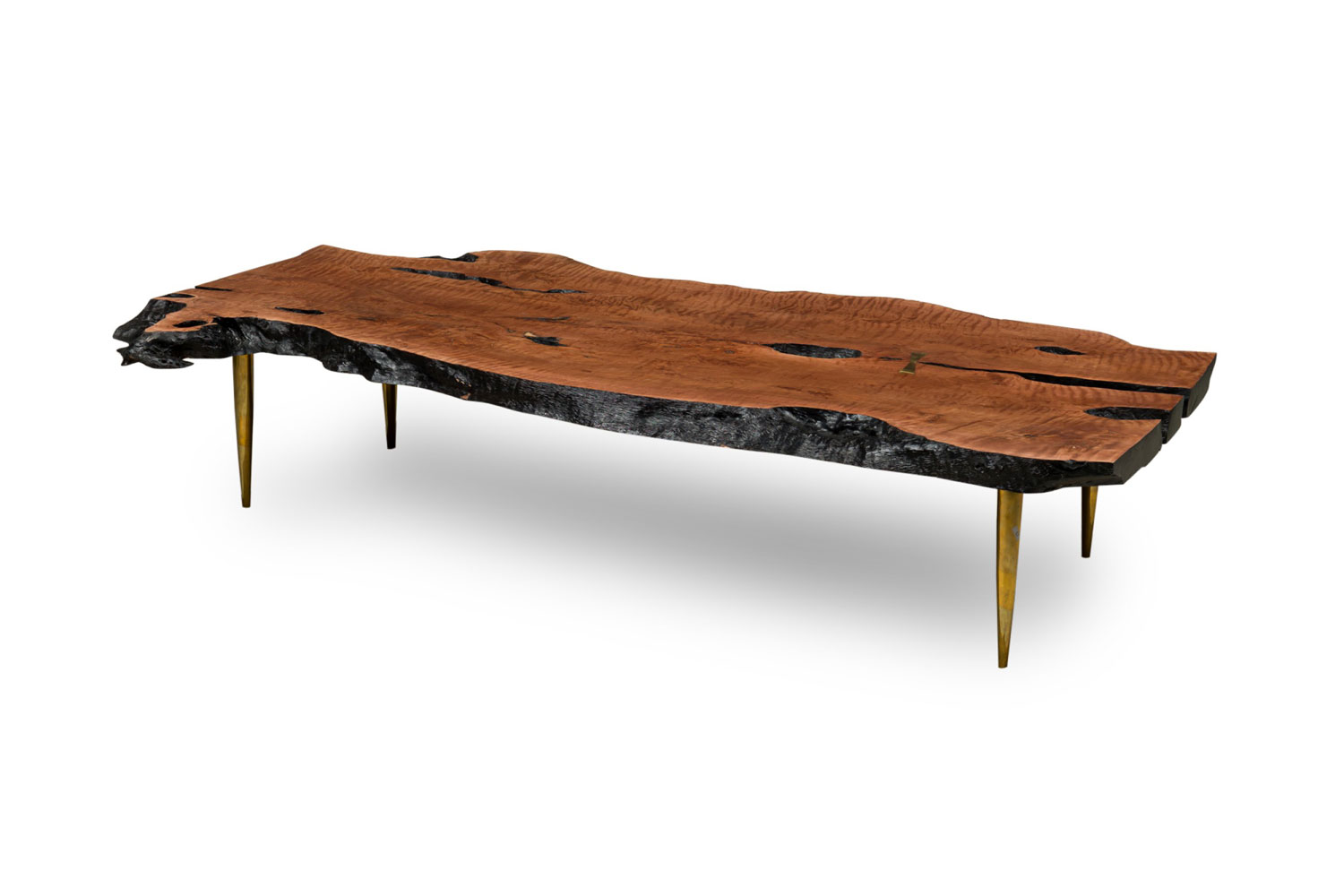Contemporary modern rectangular live edge petrified wood and polished bronze coffee table
