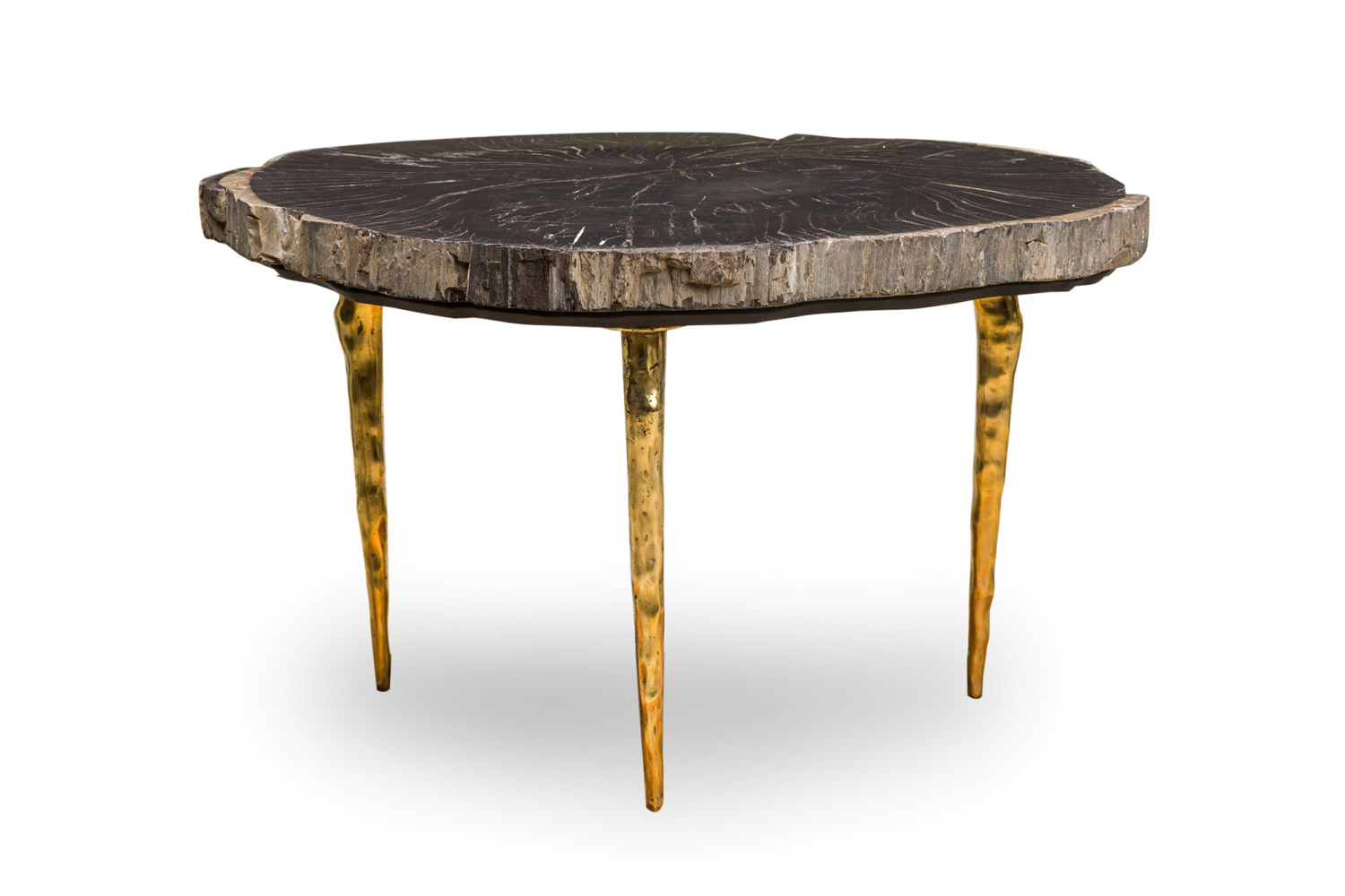 Madeira petrified wood coffee table by newel modern 1