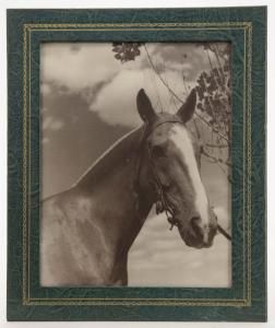 Green leather picture frame