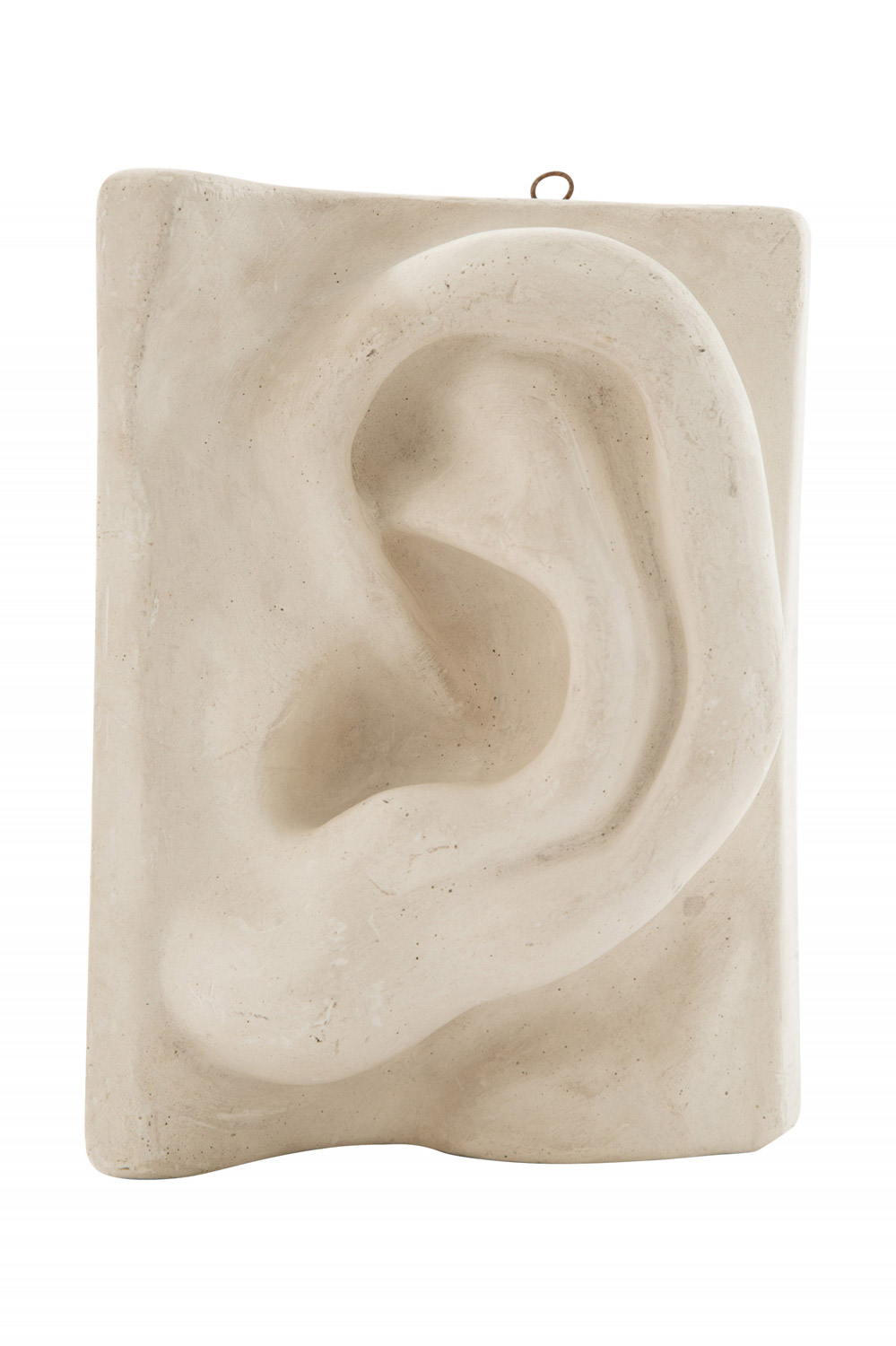 Italian renaissance michelangelo s david plaster ear detail