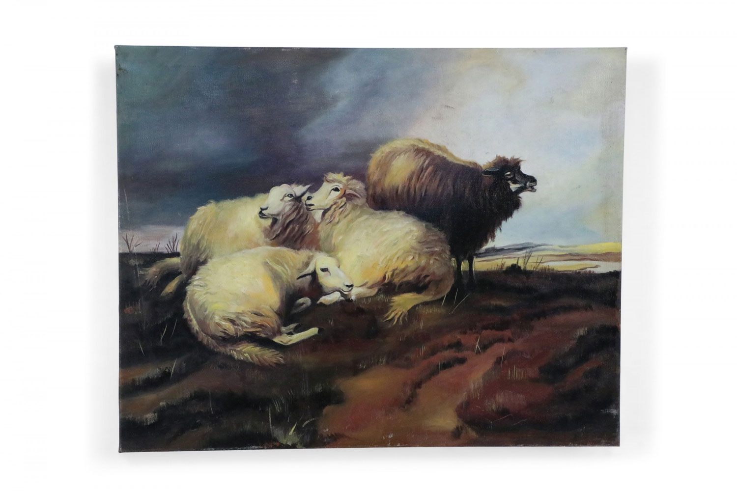 Group of Sheep in Field Oil Painting