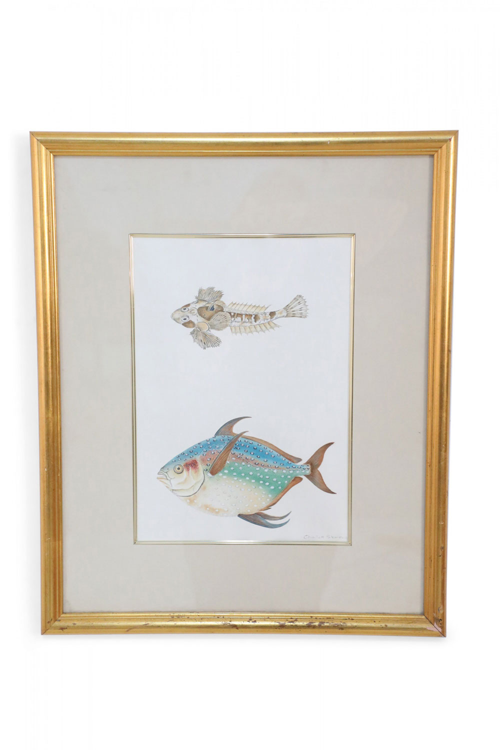 Framed Color Lithograph of Brown and Multi Colored Tropical Fish