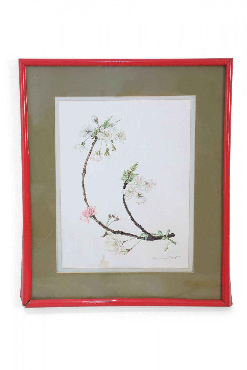 Framed Illustration of a Budding Flower Branch