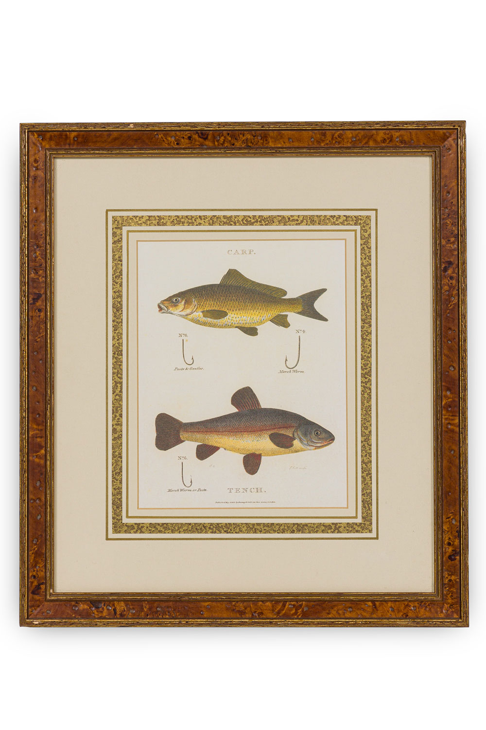 Framed color english georgian style lithograph of 2 fish, hooks and bait a