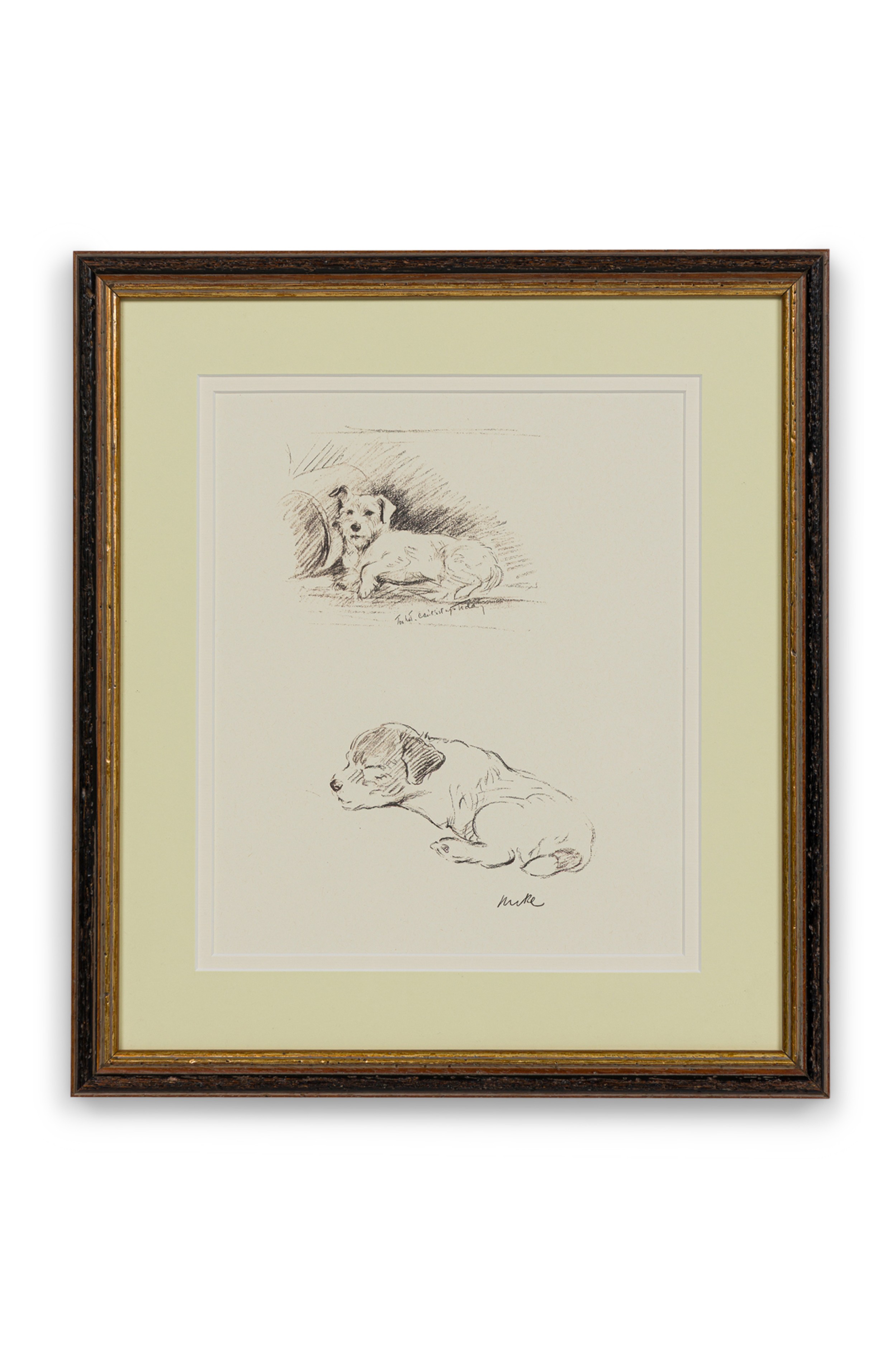American Mid Century Framed Print of a Scottish Terrier 0A