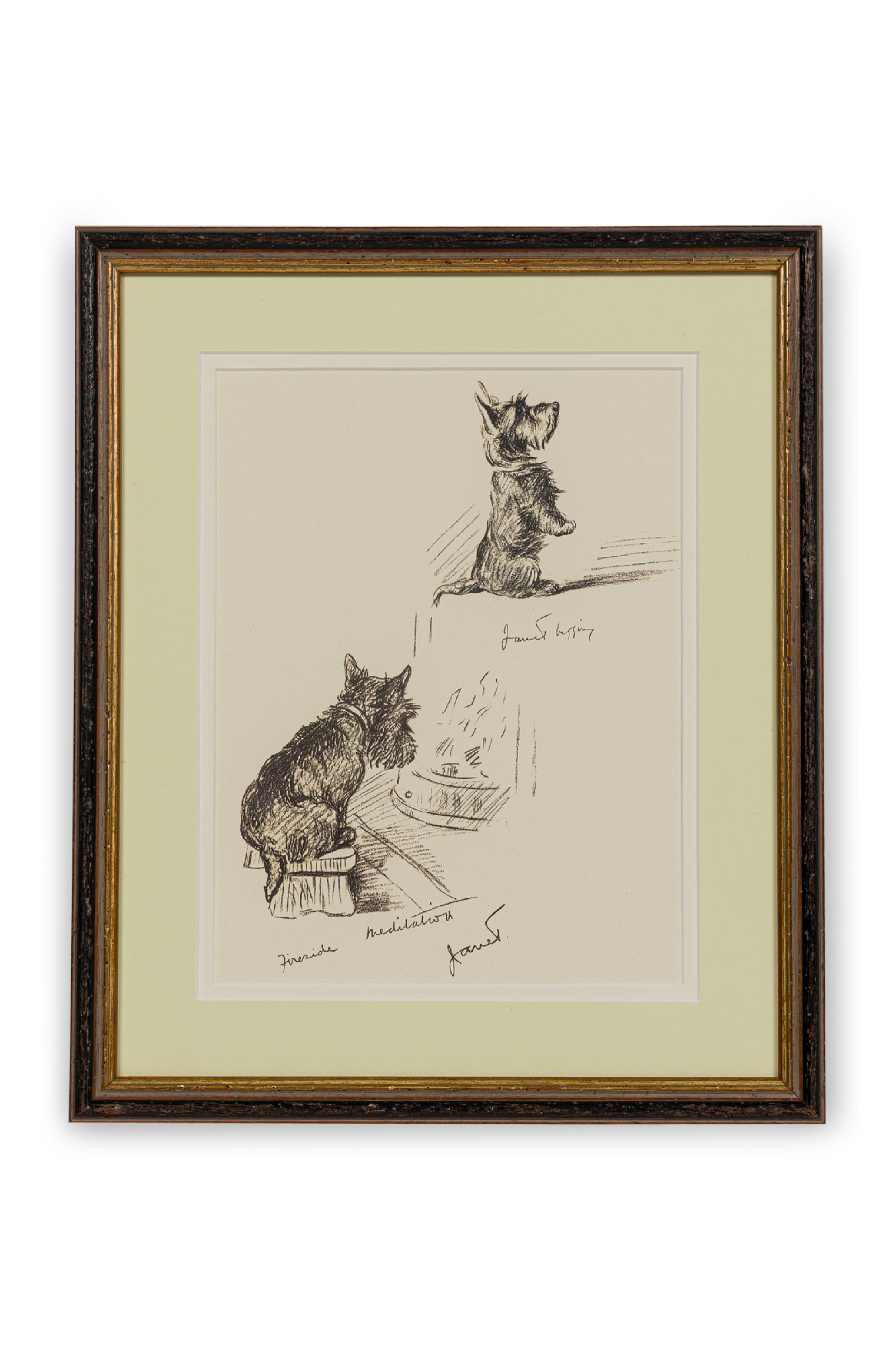 American Mid Century Framed Print of a Scottish Terrier B