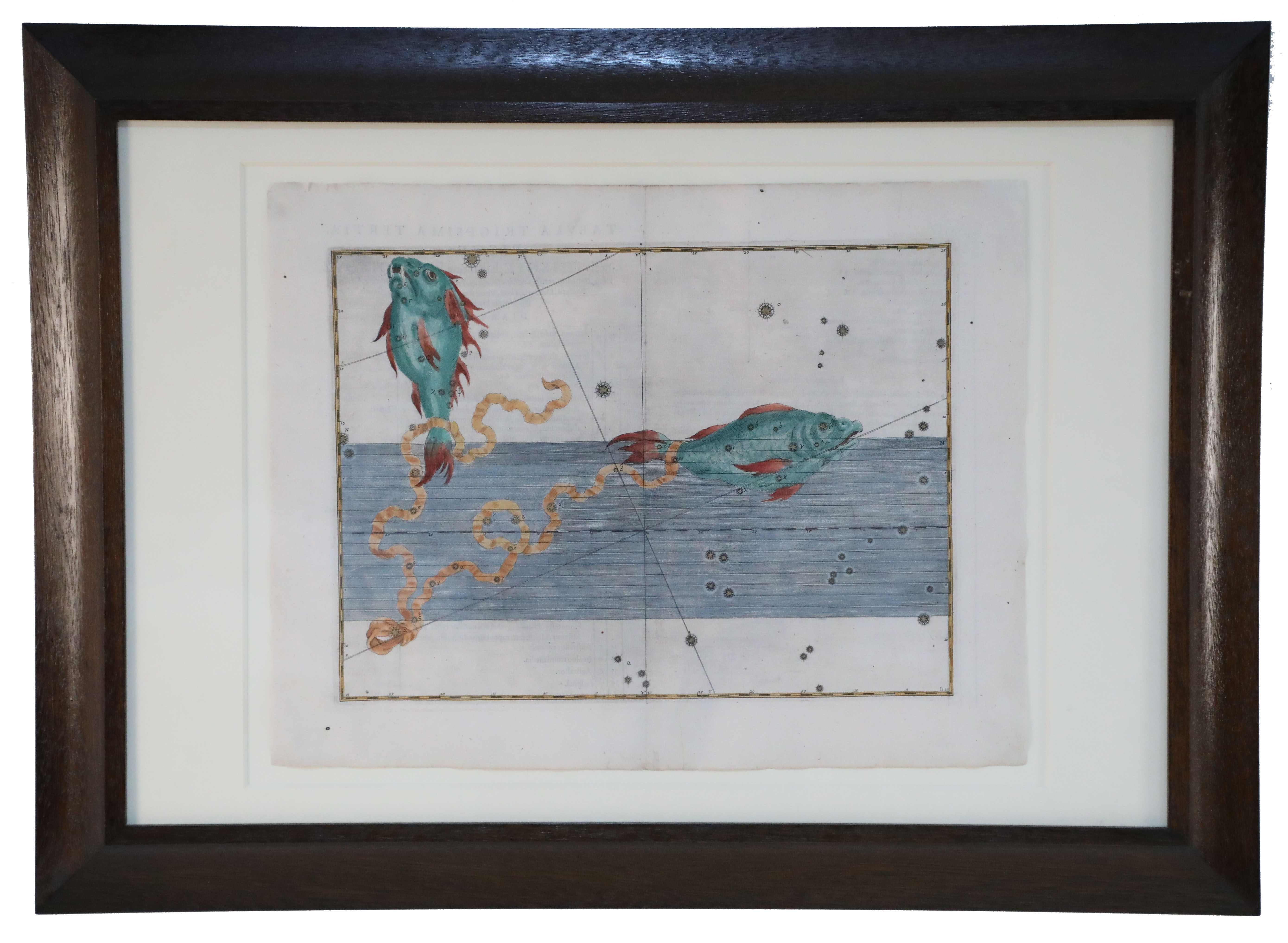 Alexander Mair Renaissance Hand Colored Engravings of Astronomy Star Charts