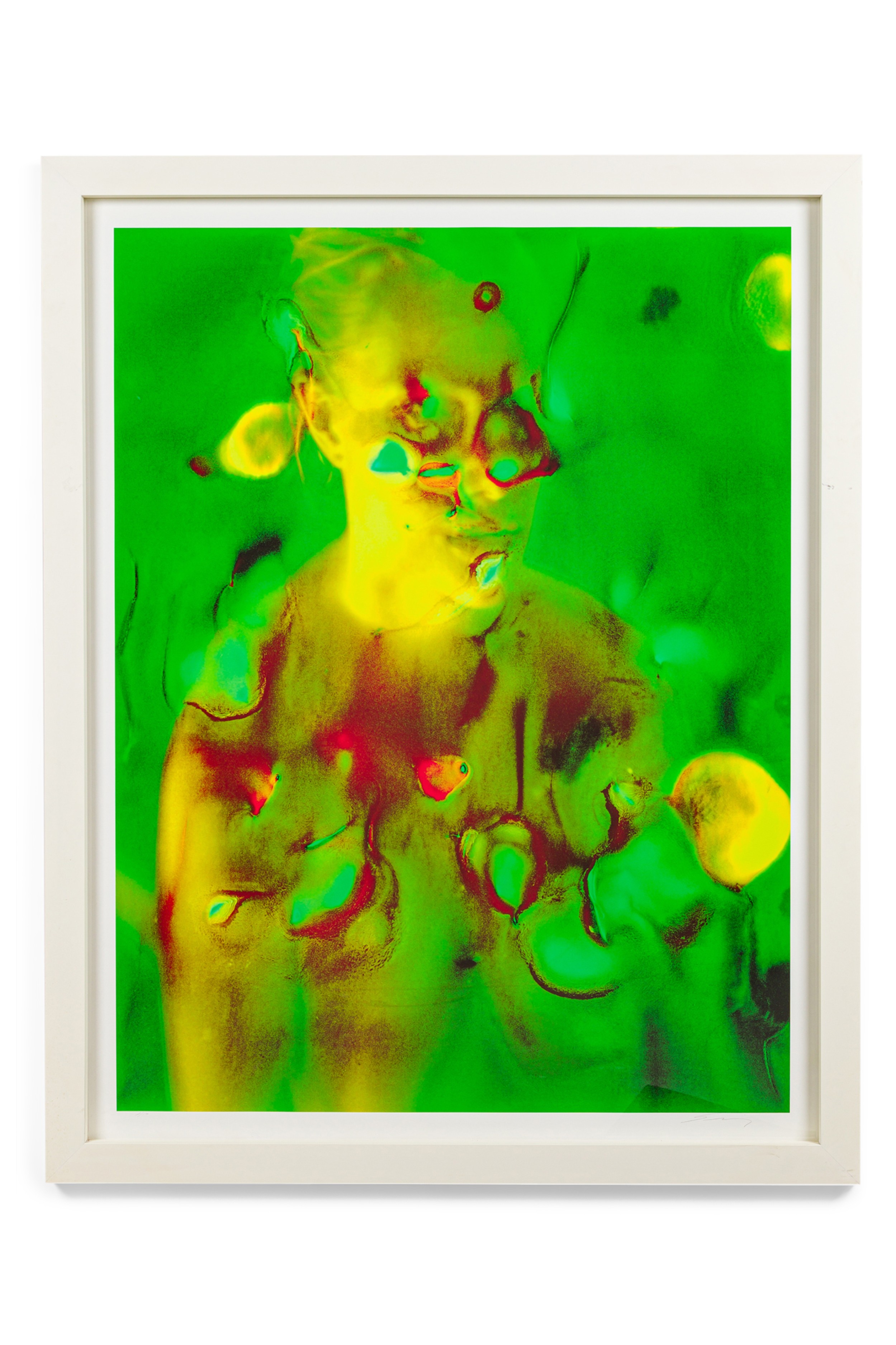 Steven Sebring American Contemporary Framed Photograph Titled Polaroid Series Green