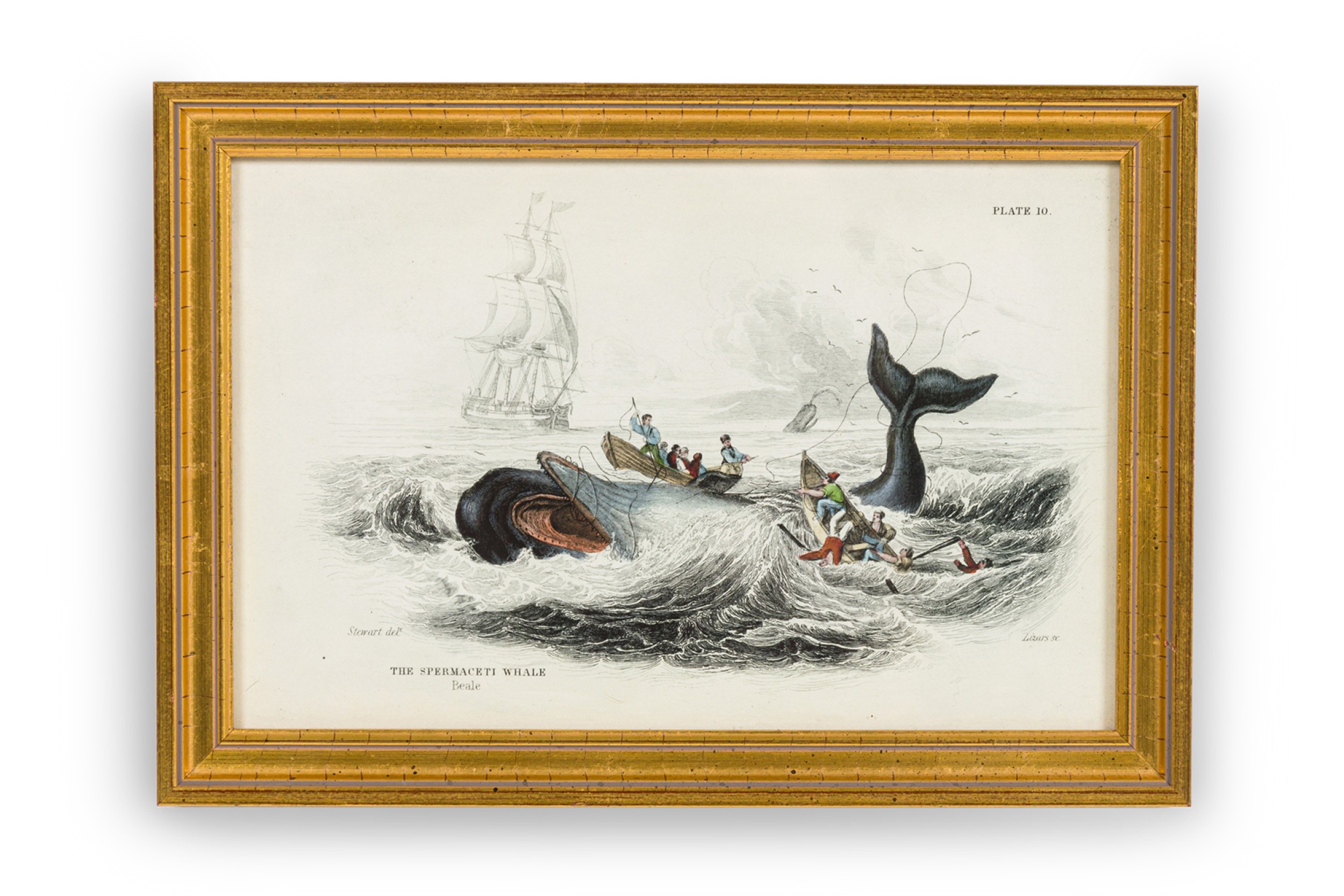 English georgian lithograph print of hunters attacking a whale 