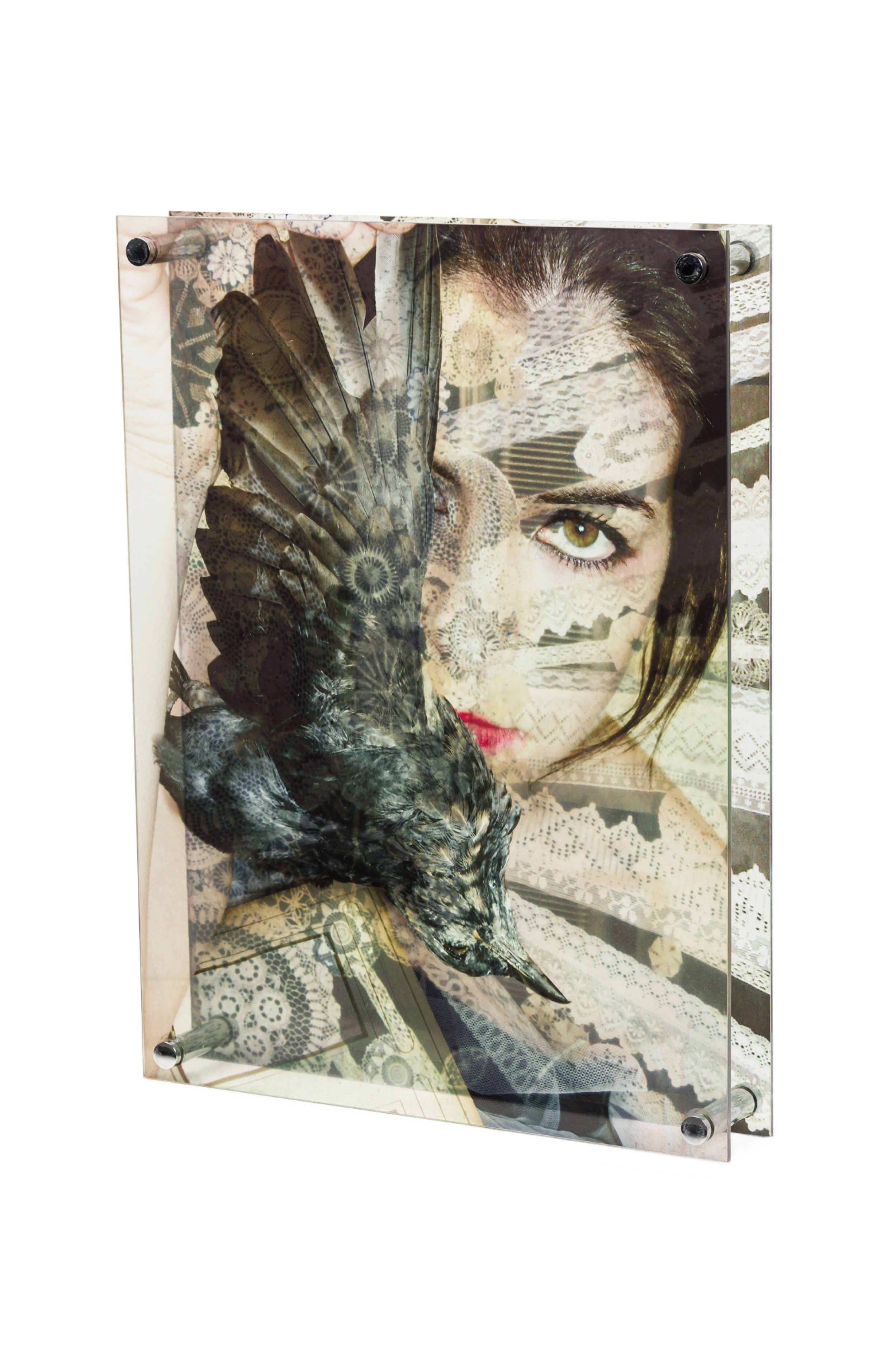 Eva petric contemporary abstract mixed media artwork titled birdy 2017 