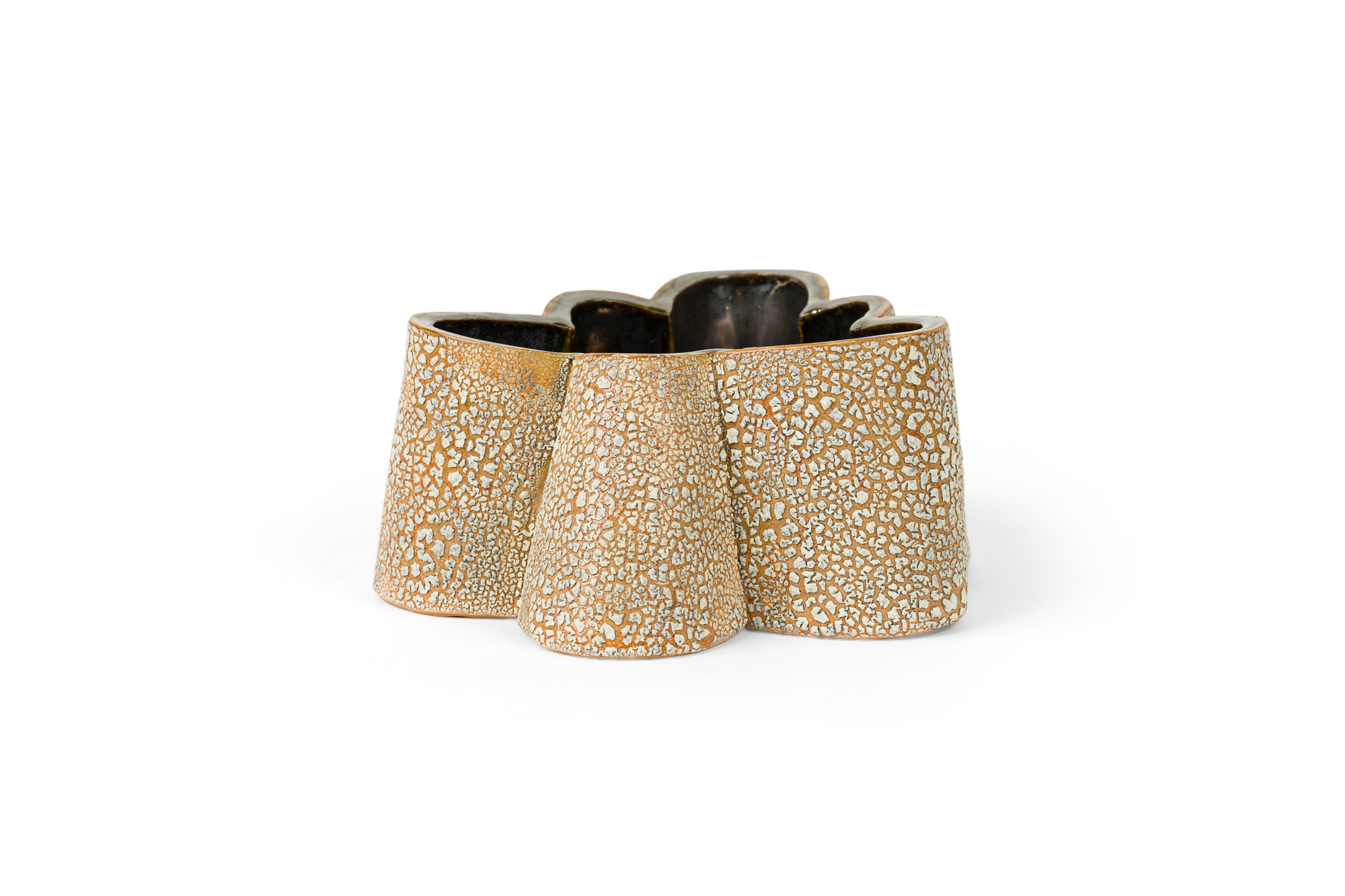 Gary DiPasquale Contemporary Asymmetrical 6 Sided Lobed Vessel with Textured White Bark Exterior and Black Interior