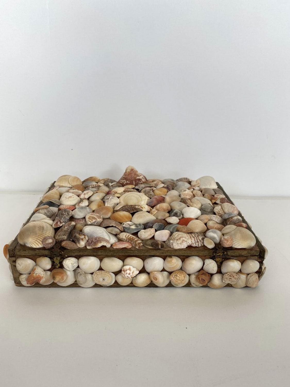 Contemporary american modern shell box large size