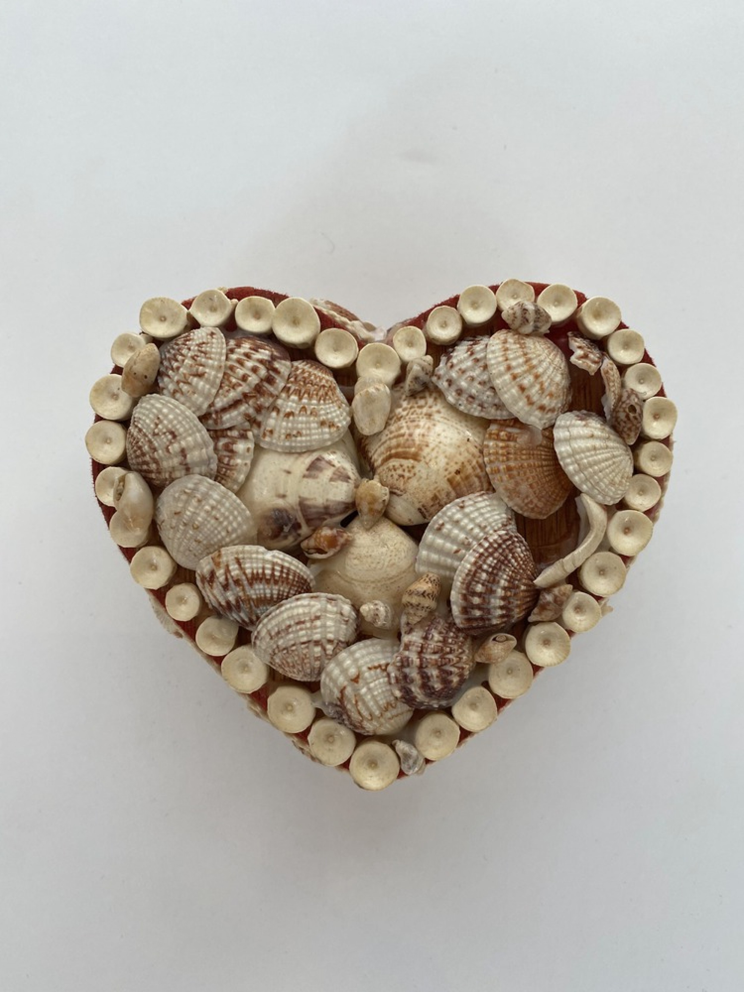 Contemporary american modern shell heart shaped box