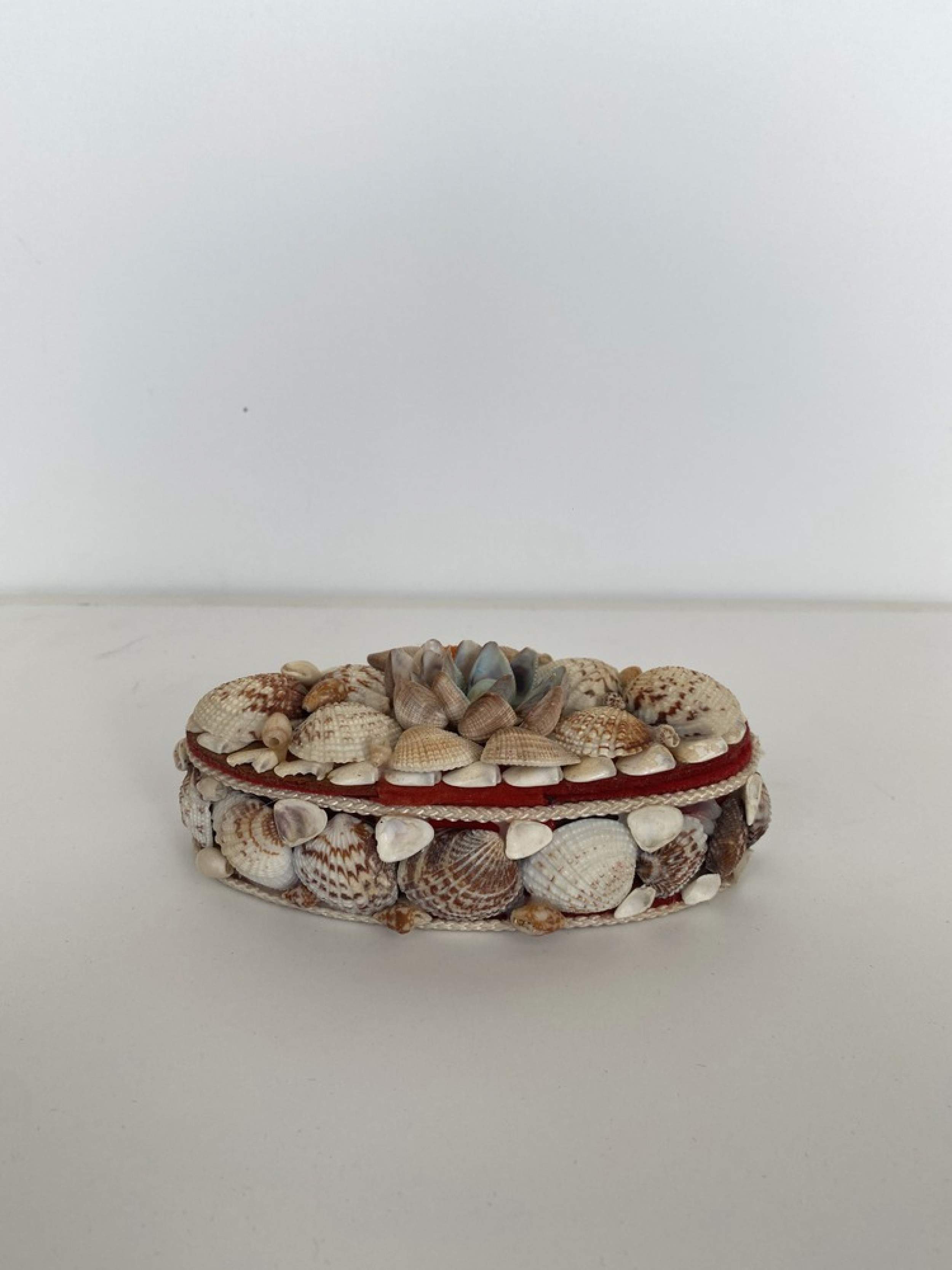 Contemporary american modern shell box oval