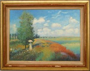 Copy of landscape field of poppies