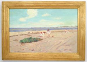 Copy of landscape shell beach