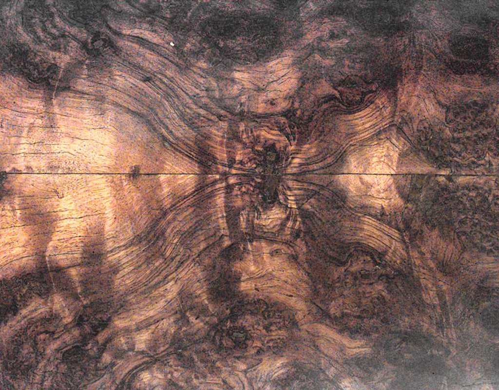 Burl