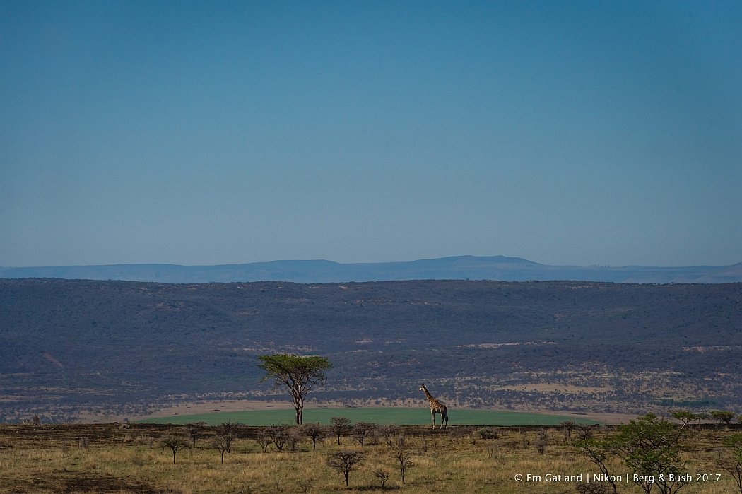 riding in africa