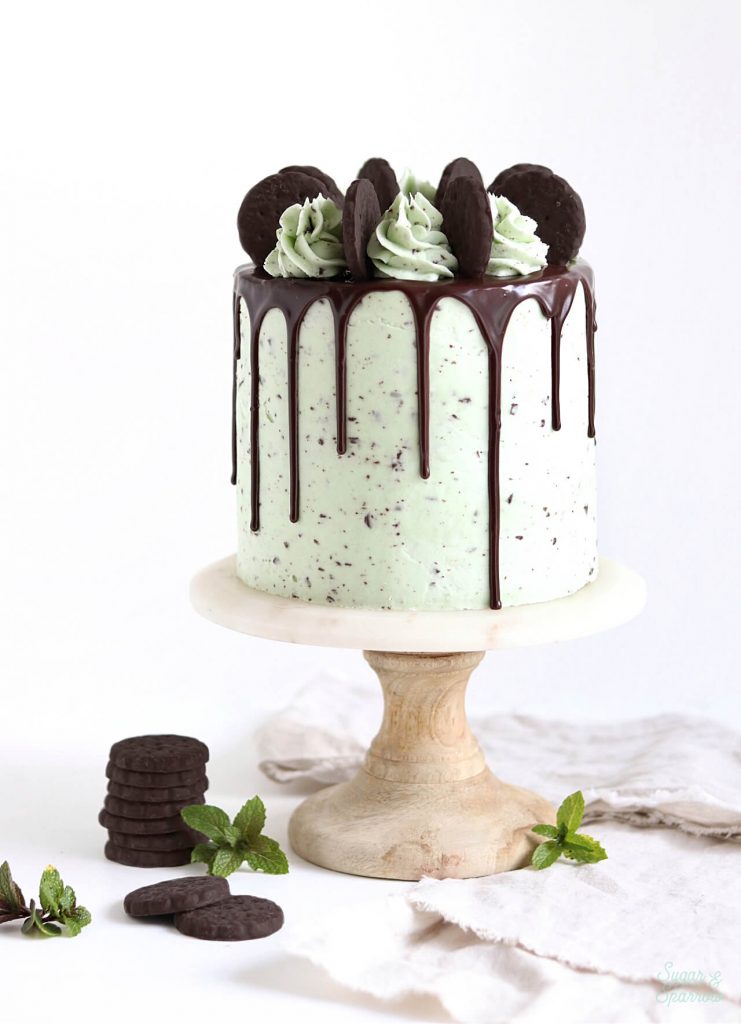 Mint Chocolate Chip Cake Recipe