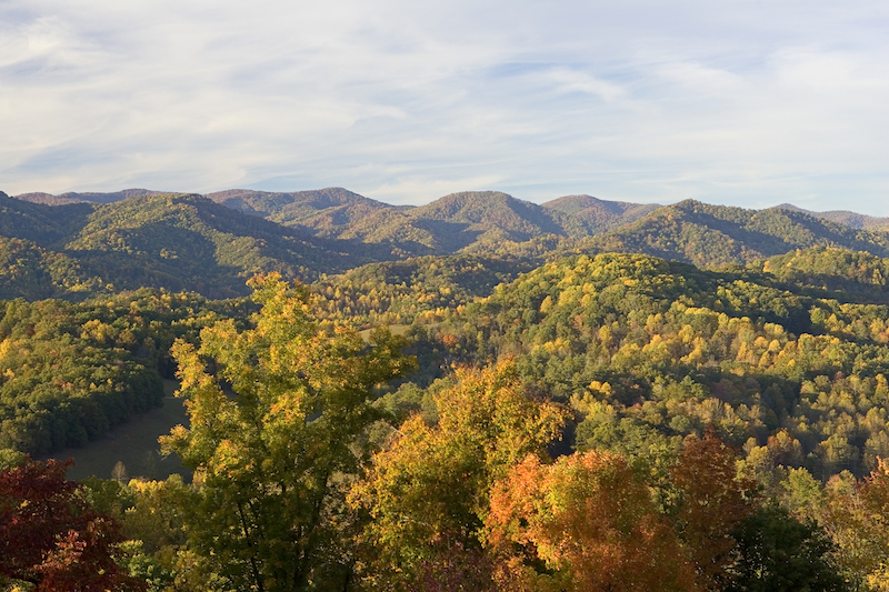 Falllongview