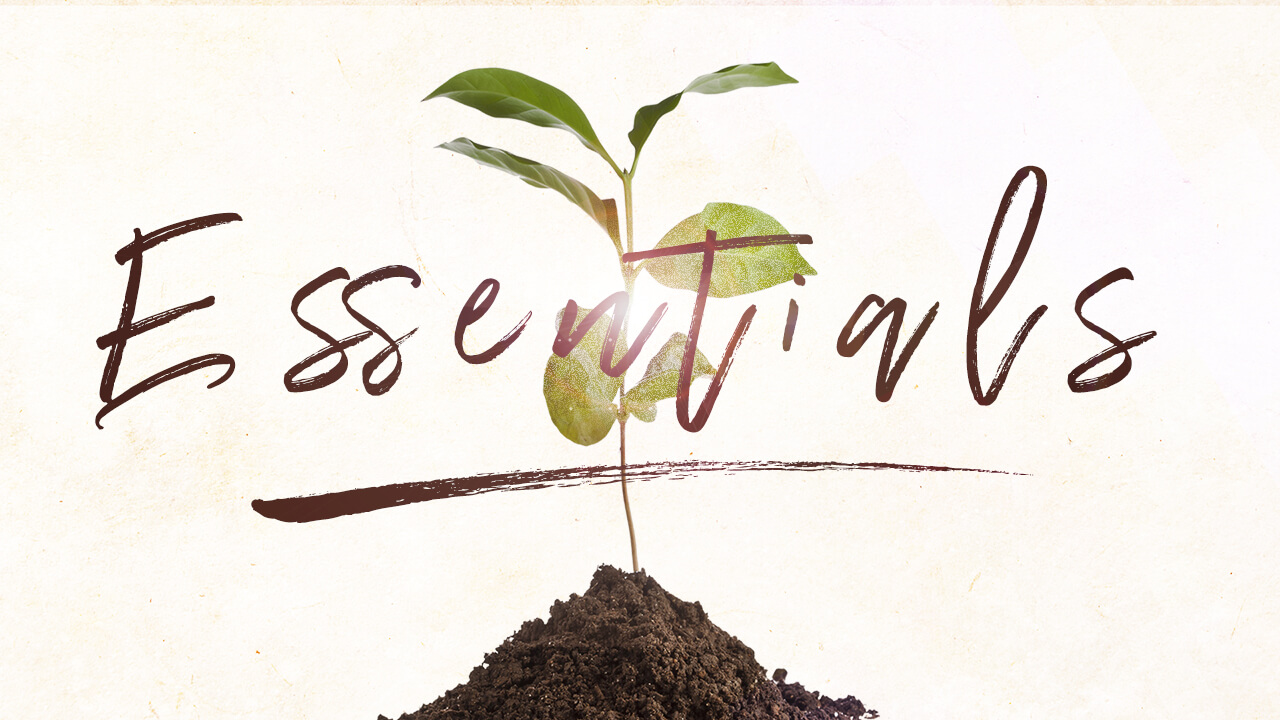 Essentials_Title2