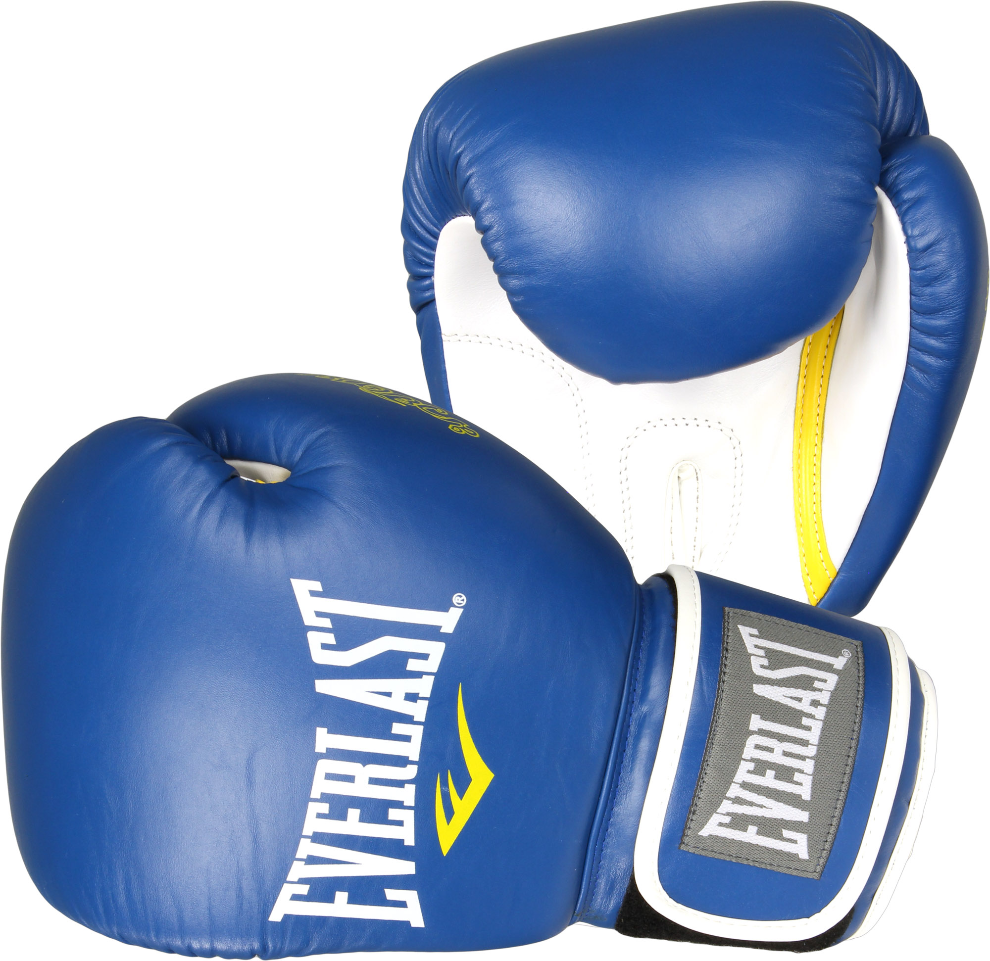 Everlast Muay Thai Pro Boxing Gloves (Blue) eBay
