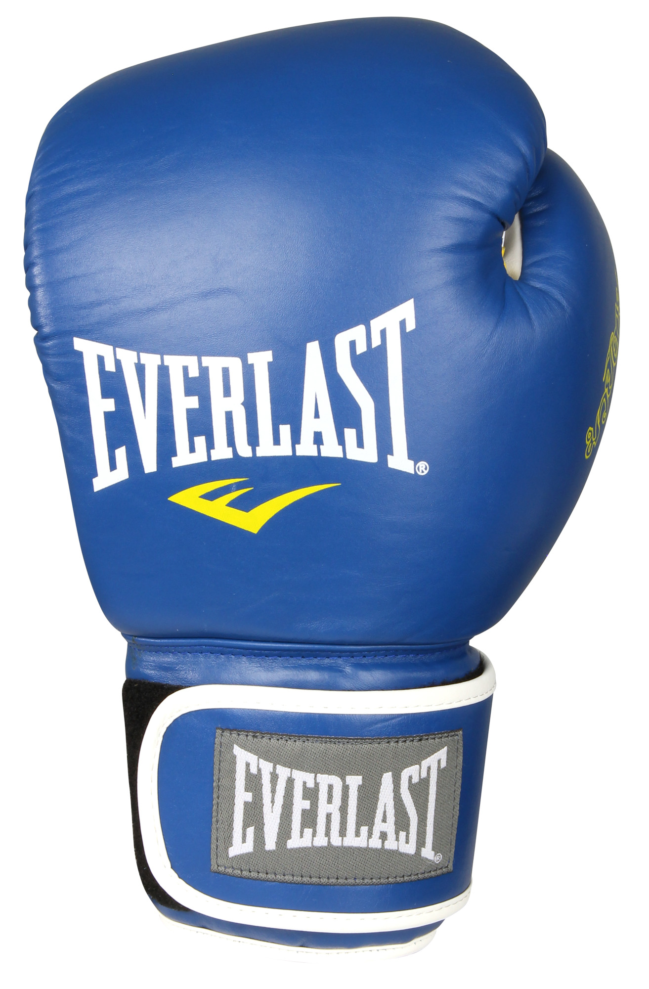 Everlast Muay Thai Pro Boxing Gloves (Blue) eBay