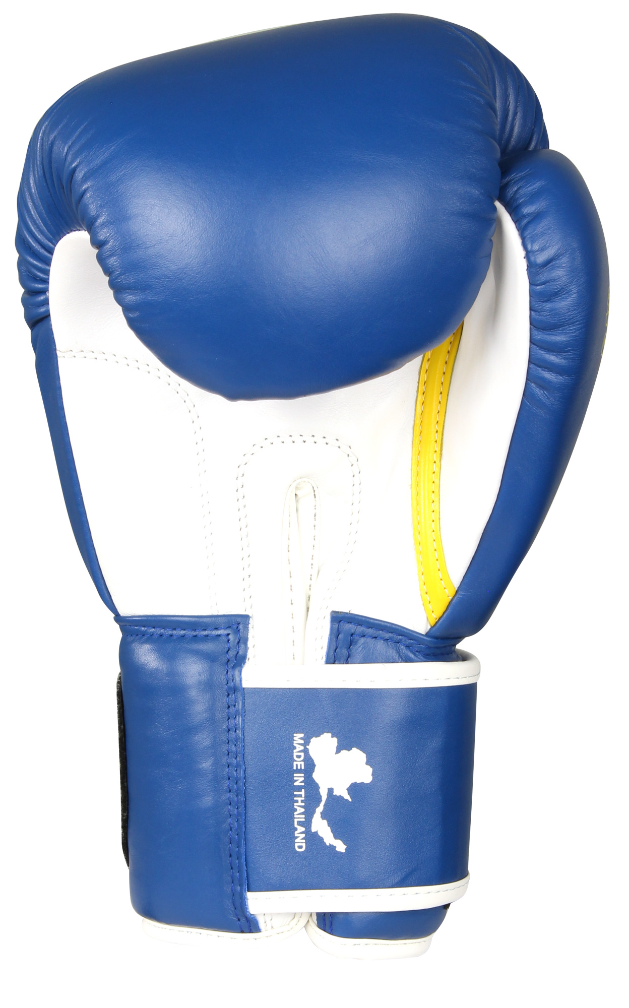 Everlast Muay Thai Pro Boxing Gloves (Blue) eBay