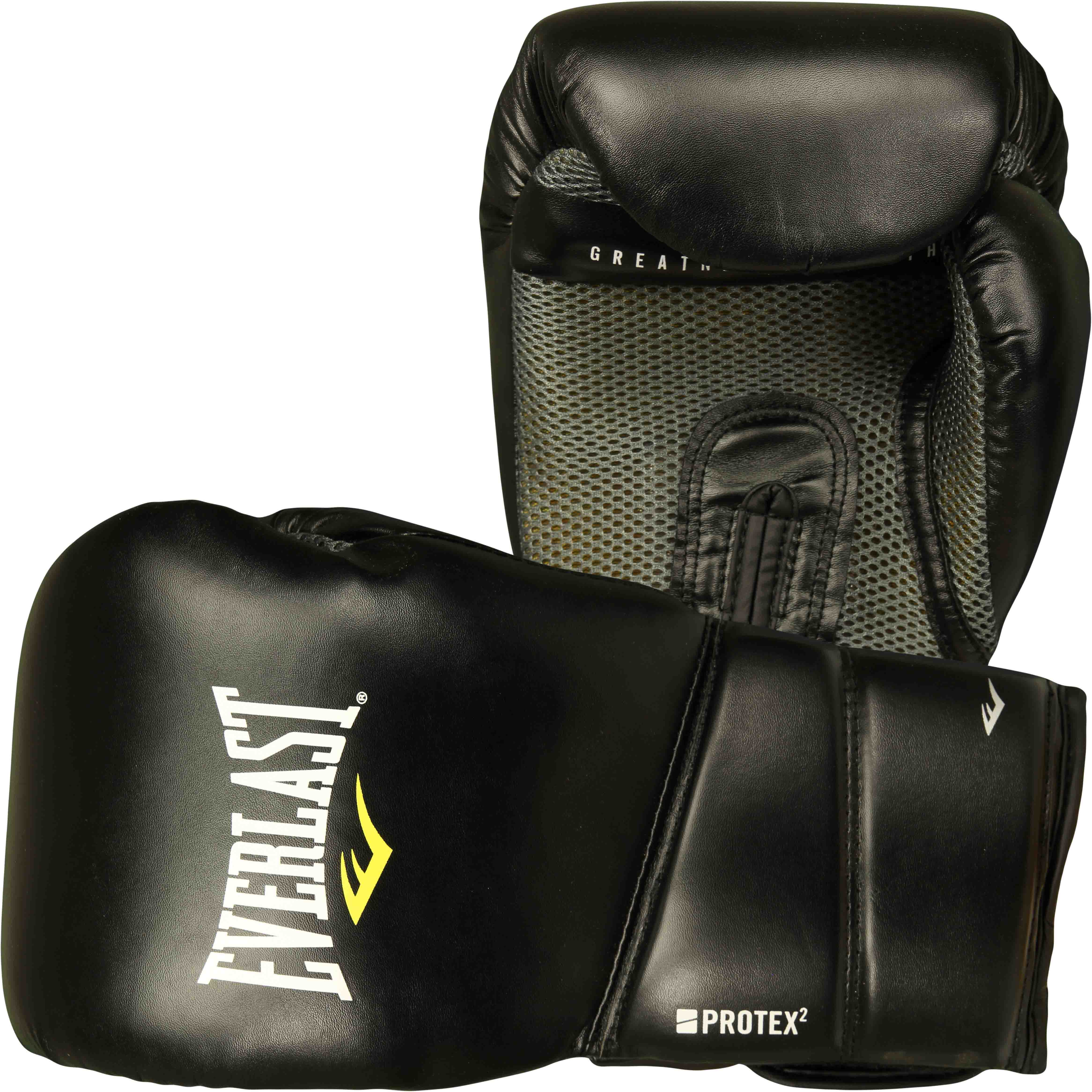 Everlast Boxing Equipment For Sale Literacy Basics