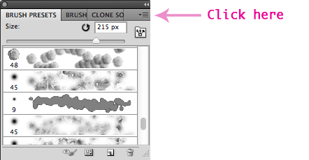 Click Here On The Brushes Presets Panel