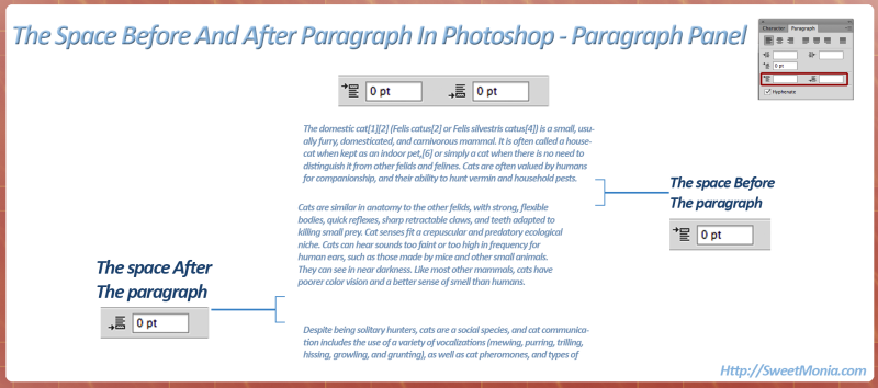 Paragraph-Space