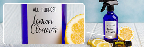 https://s3-us-west-2.amazonaws.com/synduitsamples/3192/US/SPOT/Lemon.jpg