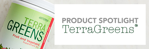 https://s3-us-west-2.amazonaws.com/synduitsamples/3192/US/SPOT/terragreens.jpg
