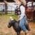 2026 Rodeo Roundup Mini Athens, AL | _EPS4828.jpg