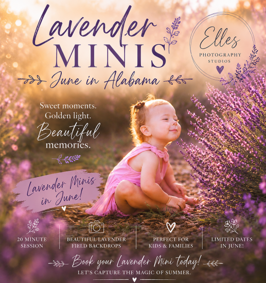 2026 Lavender Field Mini